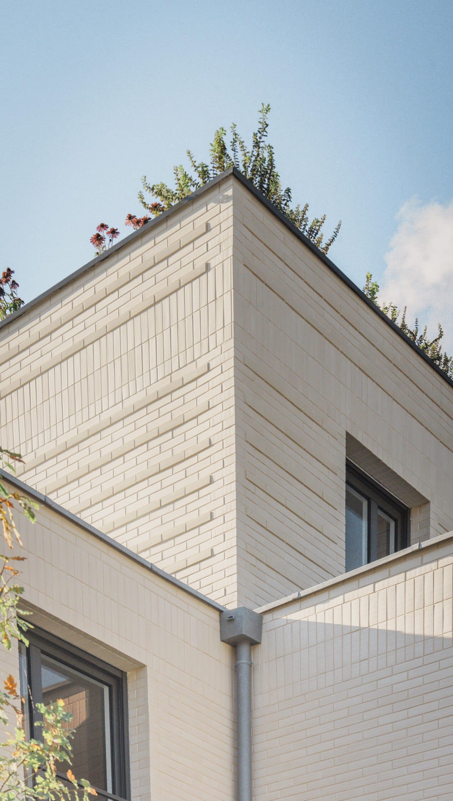 Bechu et Associés - Image