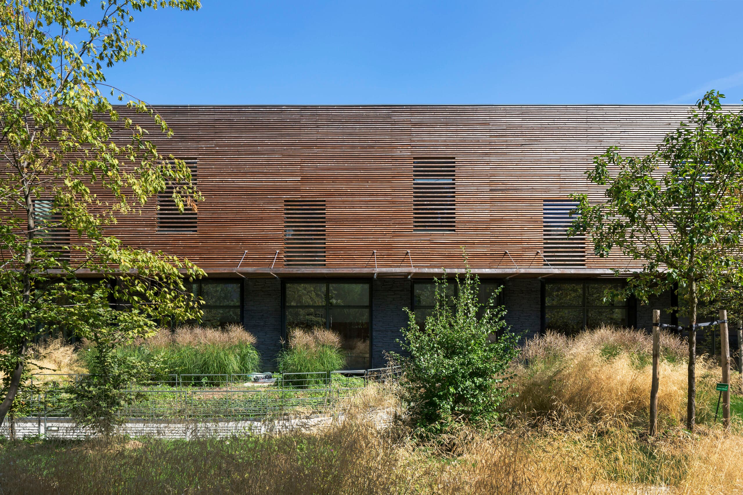 Bechu et Associés - Image